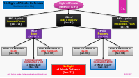 IPC_Right of Private Defence_Chart.pdf